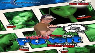 Nerd Pervert Vol 33 XXX 720p WEBRip MP4-VSEX